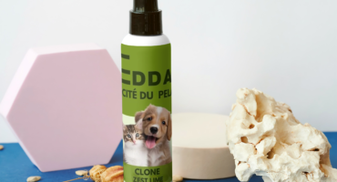 Pet Dry Bath Zest Lime