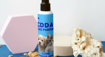 Pet Dry Bath Tranquil Aqua